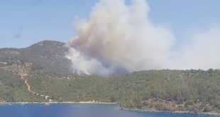 Milas'ta ormanlık alandaki yangına müdahale ediliyor