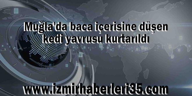 Muğla'da baca içerisine düşen kedi yavrusu kurtarıldı