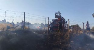 Muğla'da buğday ekili tarlada çıkan yangında 17 dönüm alan zarar gördü