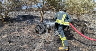 Muğla'da zeytinlik ve makilik alanda çıkan yangın söndürüldü