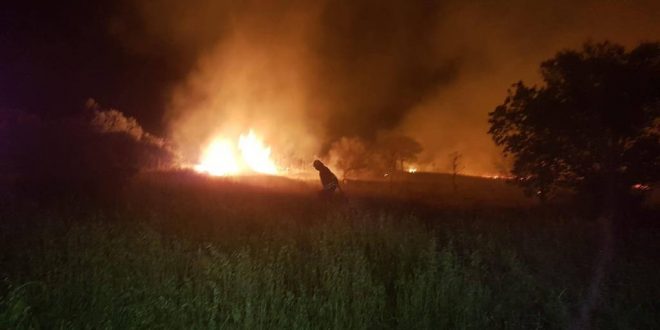 Muğla'nın Bodrum ilçesinde Ormanlık alanda çıkan yangın söndürüldü