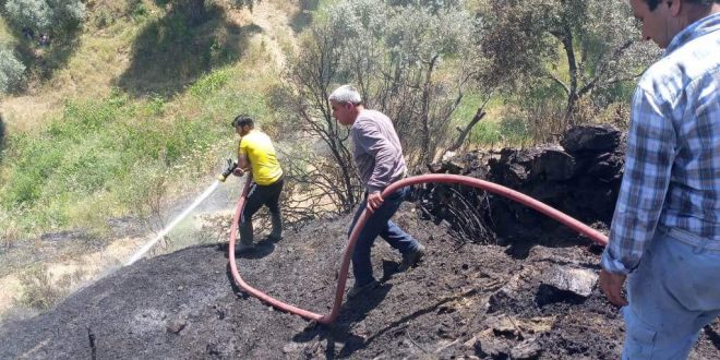 Ödemiş'te ağaçlandırma sahasında çıkan yangın kontrol altına alındı