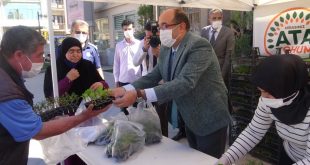 Sandıklı'da ata tohumundan üretilen fideler vatandaşlara dağıtıldı