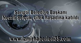 Sarıgöl Belediye Başkanı Necati Selçuk, çilek hasadına katıldı