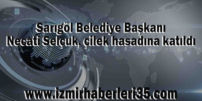 Sarıgöl Belediye Başkanı Necati Selçuk, çilek hasadına katıldı