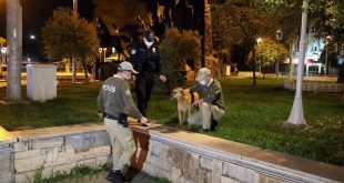 Uşak'ta polis ekipleri, tam kapanmada sokak hayvanlarını besledi