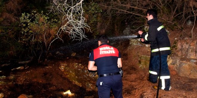 Zabıta ekiplerinin fark ettiği orman yangını söndürüldü