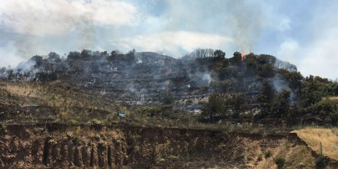 Ahmetli'de çıkan yangında yaklaşık 10 dekar orman ve makilik zarar gördü