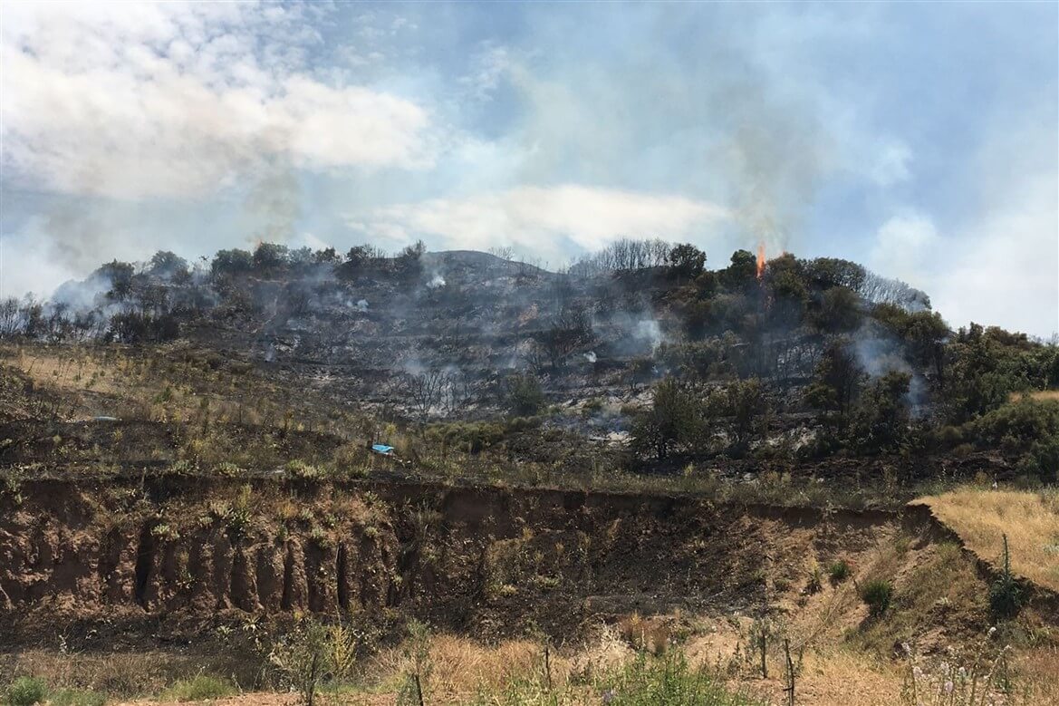 Ahmetli'de çıkan yangında yaklaşık 10 dekar orman ve makilik zarar gördü