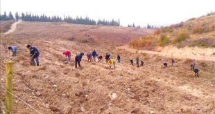 Aras Kargo, 16 bin çalışanı adına 16 bin adet fidan bağışladı