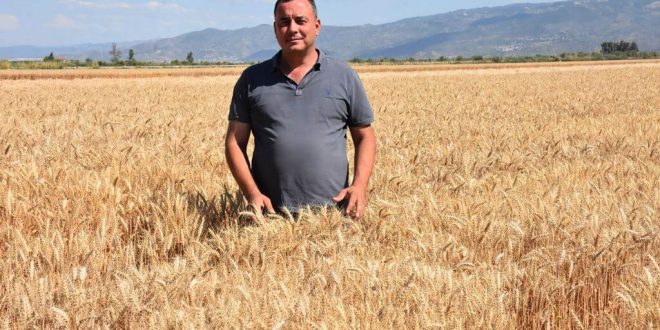 Aydın Ticaret Borsası Başkanı Çondur: "İlimizde buğday ekili alan yüzde 37 arttı"