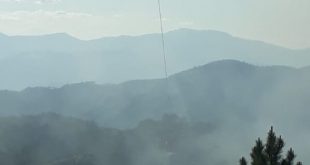 Fethiye'de çıkan orman yangınında 5 dekarlık alan zarar gördü