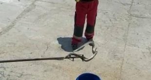 Fethiye'de samanlıkta yakalanan yılan doğaya bırakıldı