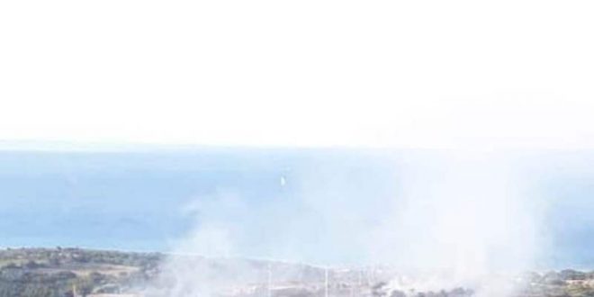 İzmir Çeşme'de makilik alanda çıkan yangın söndürüldü