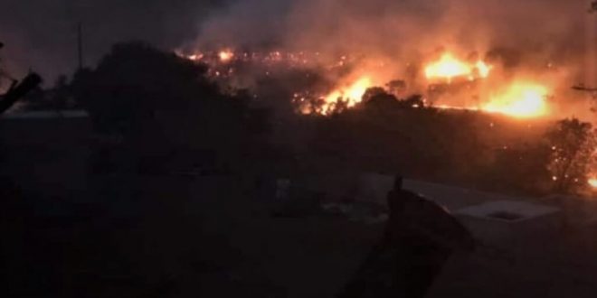İzmir'de incir ve zeytin ağaçlarının bulunduğu 40 dekarlık alan yandı