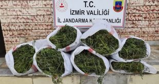 İzmir'de Jandarma operasyonda 27 kilogram esrar ve 756 kök Hint keneviri ele geçirdi