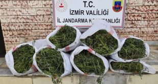 İzmir'de Jandarma operasyonda 27 kilogram esrar ve 756 kök Hint keneviri ele geçirdi
