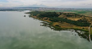 İzmir'de kış ve ilkbahar yağışları barajlara "can suyu" oldu