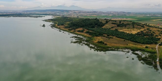 İzmir'de kış ve ilkbahar yağışları barajlara "can suyu" oldu