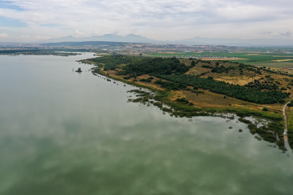 İzmir'de kış ve ilkbahar yağışları barajlara "can suyu" oldu