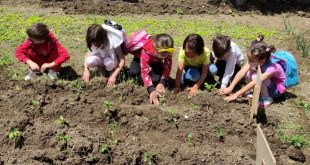 Kütahya'da anaokulu öğrencilerinden "Değişir dönüşür yeşerir" projesi