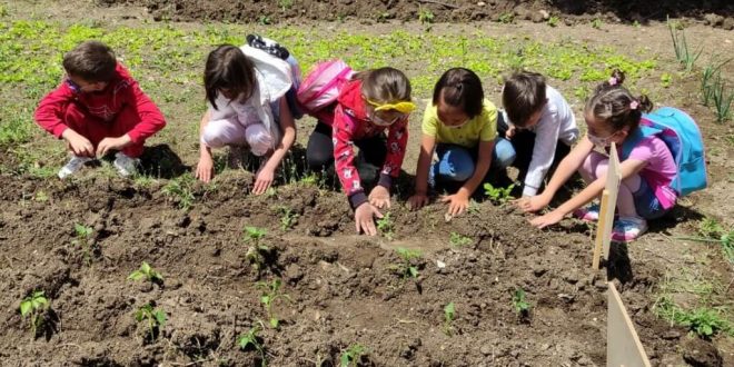 Kütahya'da anaokulu öğrencilerinden "Değişir dönüşür yeşerir" projesi