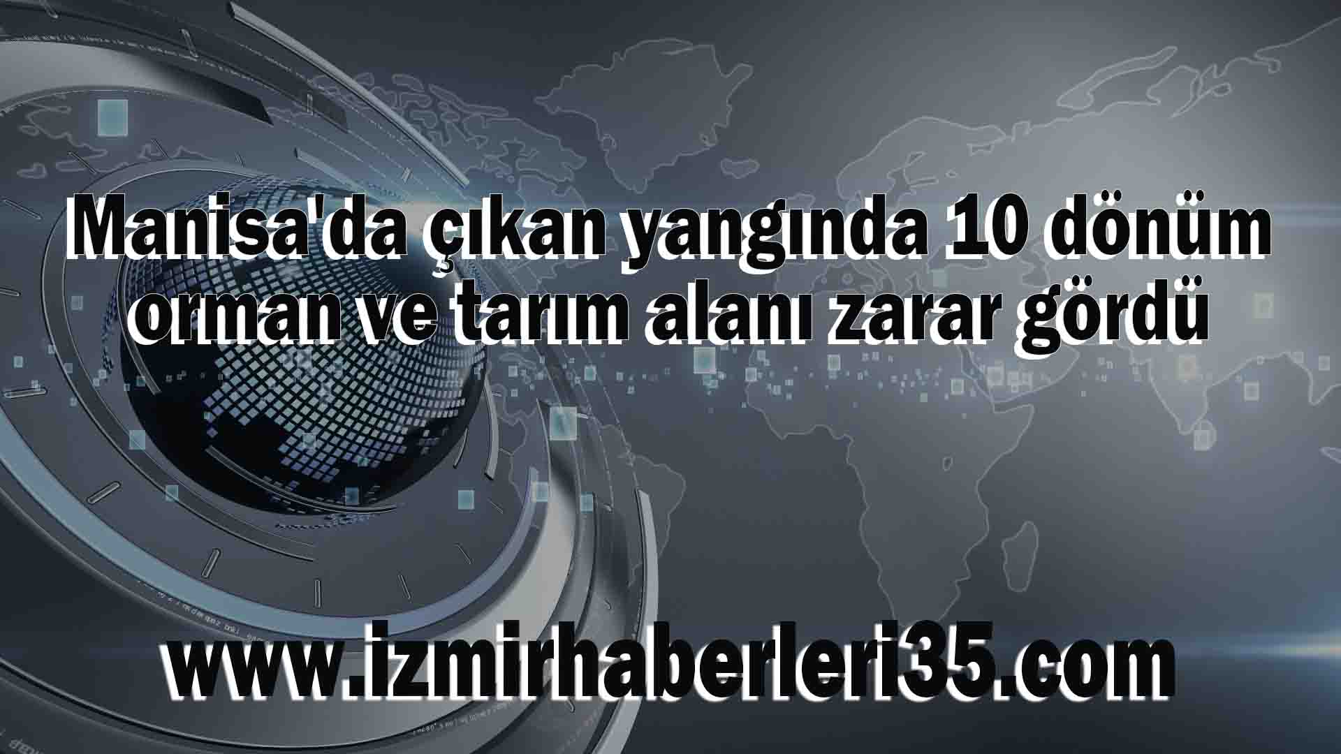 Manisa'da çıkan yangında 10 dönüm orman ve tarım alanı zarar gördü