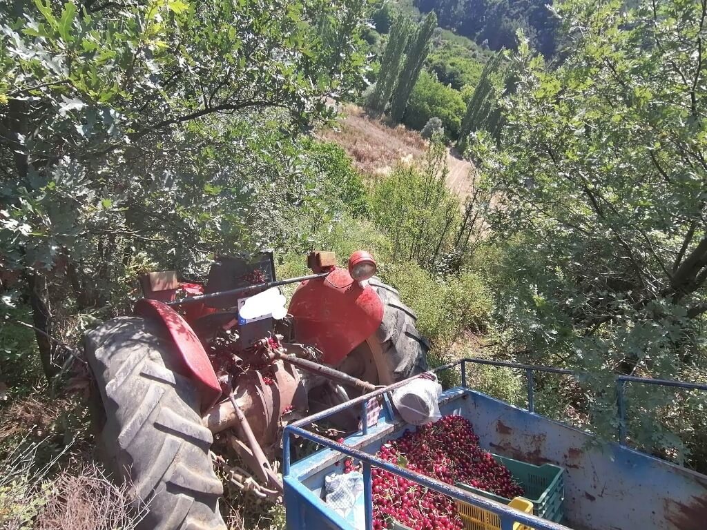 Manisa'da devrilen traktördeki 5 kişi yaralandı