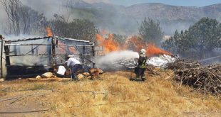 Muğla'da çıkan arazi, anız ve konteyner yangınları söndürüldü