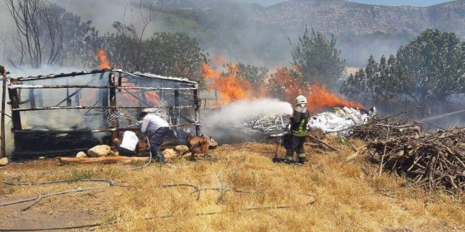 Muğla'da çıkan arazi, anız ve konteyner yangınları söndürüldü