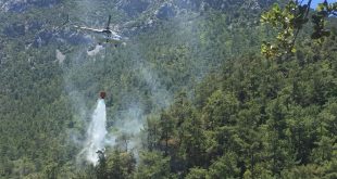 Muğla'da çıkan orman yangınında 3 dekarlık alan zarar gördü