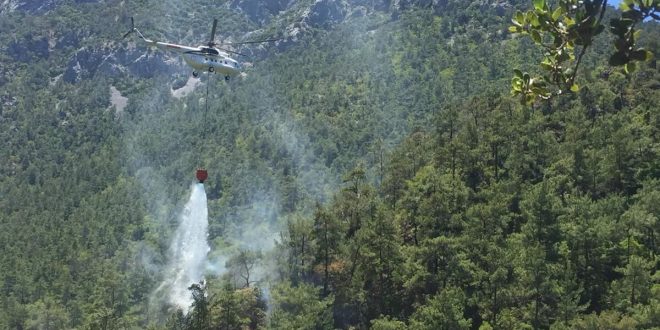 Muğla'da çıkan orman yangınında 3 dekarlık alan zarar gördü