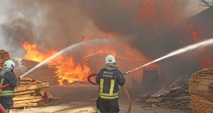 Muğla'da marangoz atölyesinde çıkan yangın söndürüldü