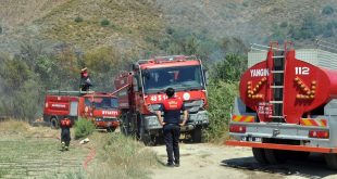 Muğla'da narenciye bahçesinde çıkan yangın söndürüldü