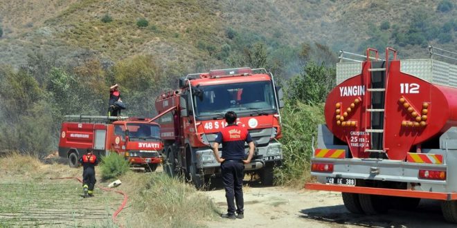 Muğla'da narenciye bahçesinde çıkan yangın söndürüldü