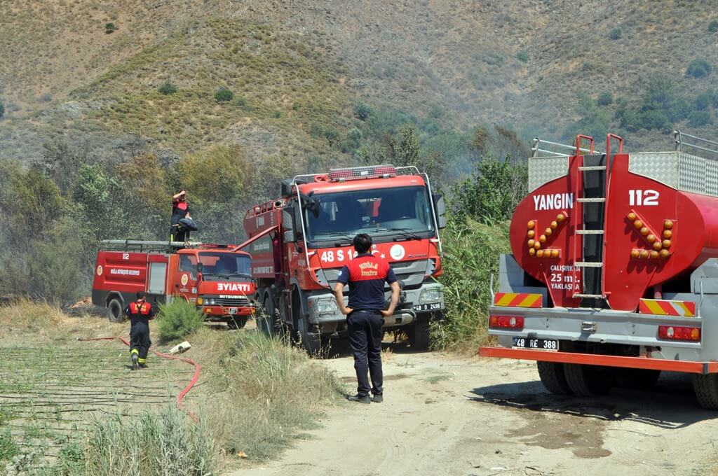 Muğla'da narenciye bahçesinde çıkan yangın söndürüldü