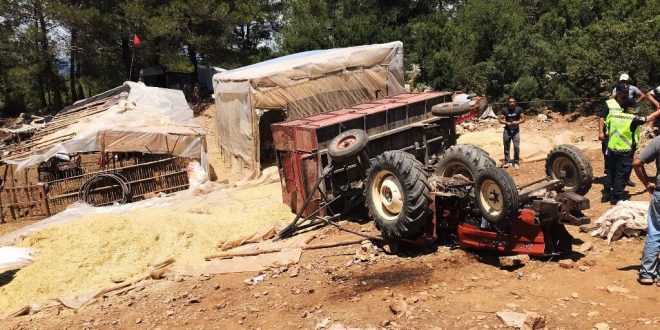 Muğla'da şarampole devrilen traktörün sürücüsü yaralandı