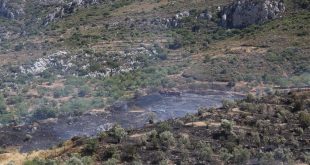 Muğla'da zirai alanda çıkan yangın hava ve karadan müdahaleyle söndürüldü