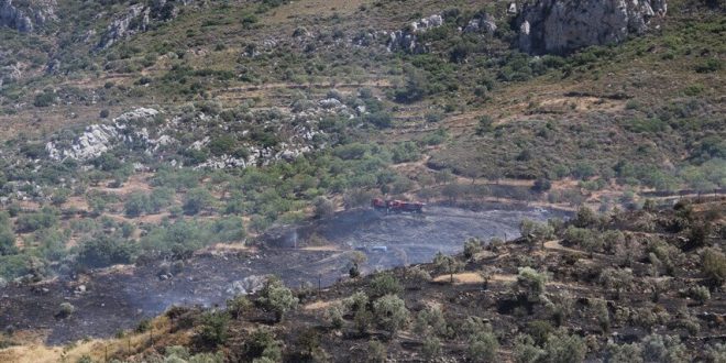 Muğla'da zirai alanda çıkan yangın hava ve karadan müdahaleyle söndürüldü