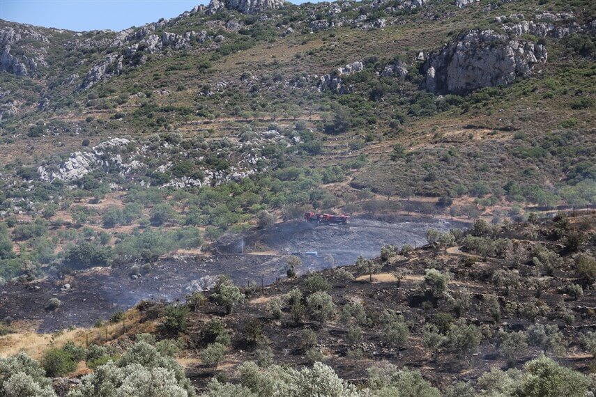 Muğla'da zirai alanda çıkan yangın hava ve karadan müdahaleyle söndürüldü