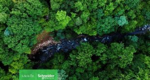 Schneider Electric global biyoçeşitlilik kaybıyla mücadele taahhüdünü açıkladı