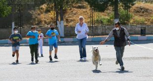 Sığındığı okul yuvası olan "Cengo", kademeli normalleşme sonrası öğrencilerle buluştu