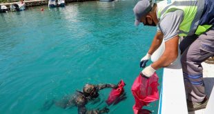 Bodrum'da dalgıçlar deniz dibi temizliğinde 344 kilogram atık çıkardı