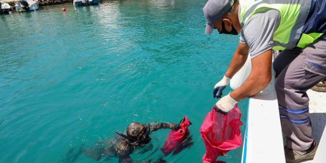Bodrum'da dalgıçlar deniz dibi temizliğinde 344 kilogram atık çıkardı
