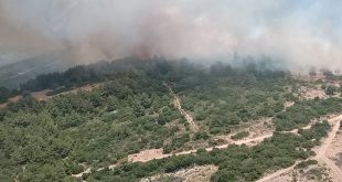 İzmir Karaburun'da makilik alanda çıkan yangına müdahale ediliyor