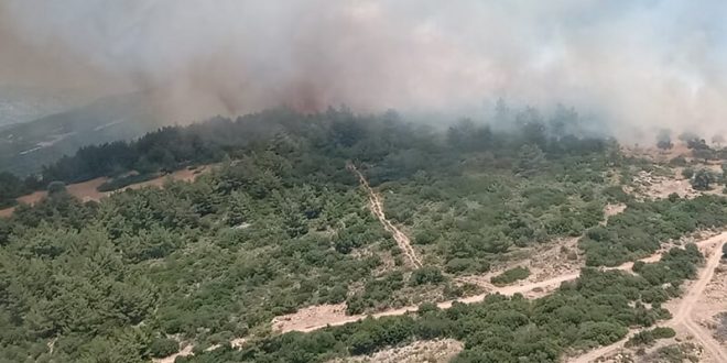 İzmir Karaburun'da makilik alanda çıkan yangına müdahale ediliyor