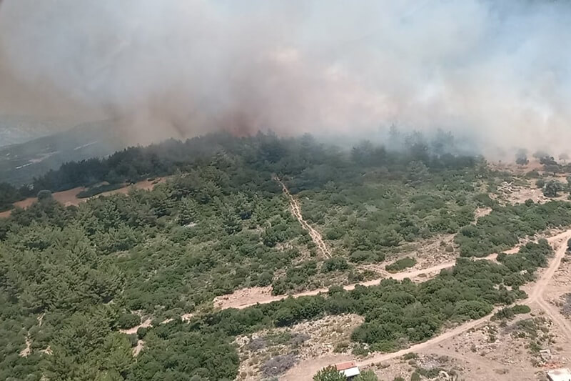 İzmir Karaburun'da makilik alanda çıkan yangına müdahale ediliyor