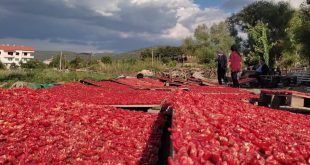 Kale ovalarında "kırmızı" mesaisi başladı