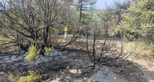 Manisa'da arazi yangınında 15 dönümlük alan zarar gördü