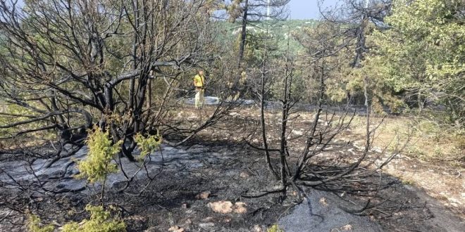 Manisa'da arazi yangınında 15 dönümlük alan zarar gördü